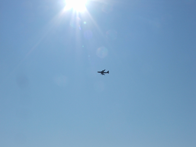 August 2008 055.JPG